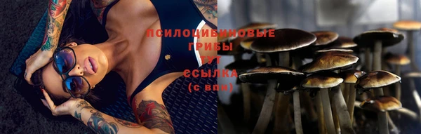PSILOCYBIN Баксан