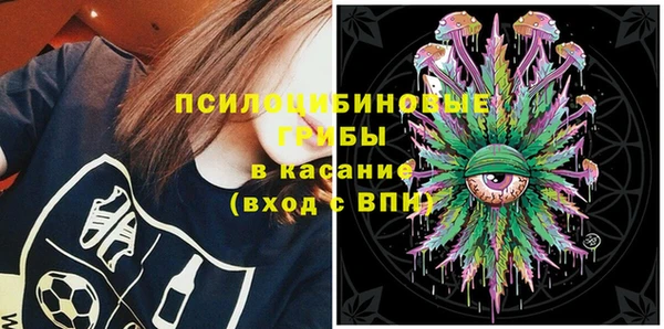 apvp Балахна