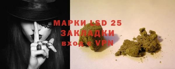 гидра Бронницы