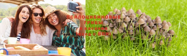 PSILOCYBIN Баксан
