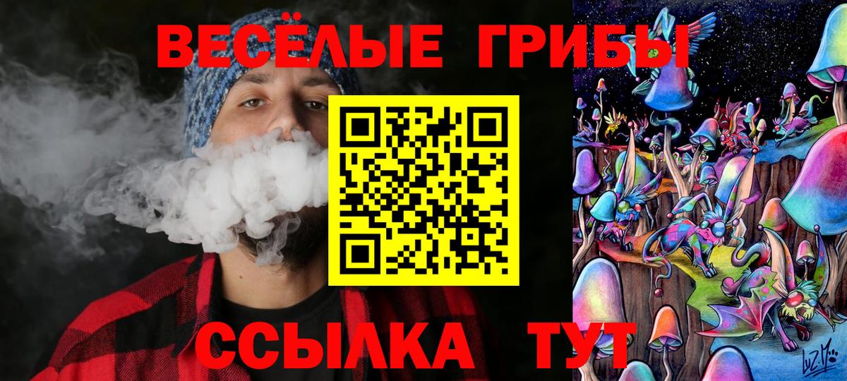 Пенза  Галлюциногенные грибы Cubensis  где продают наркотики  Вход с VPN 